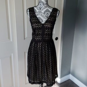 Ann Taylor LOFT  dress